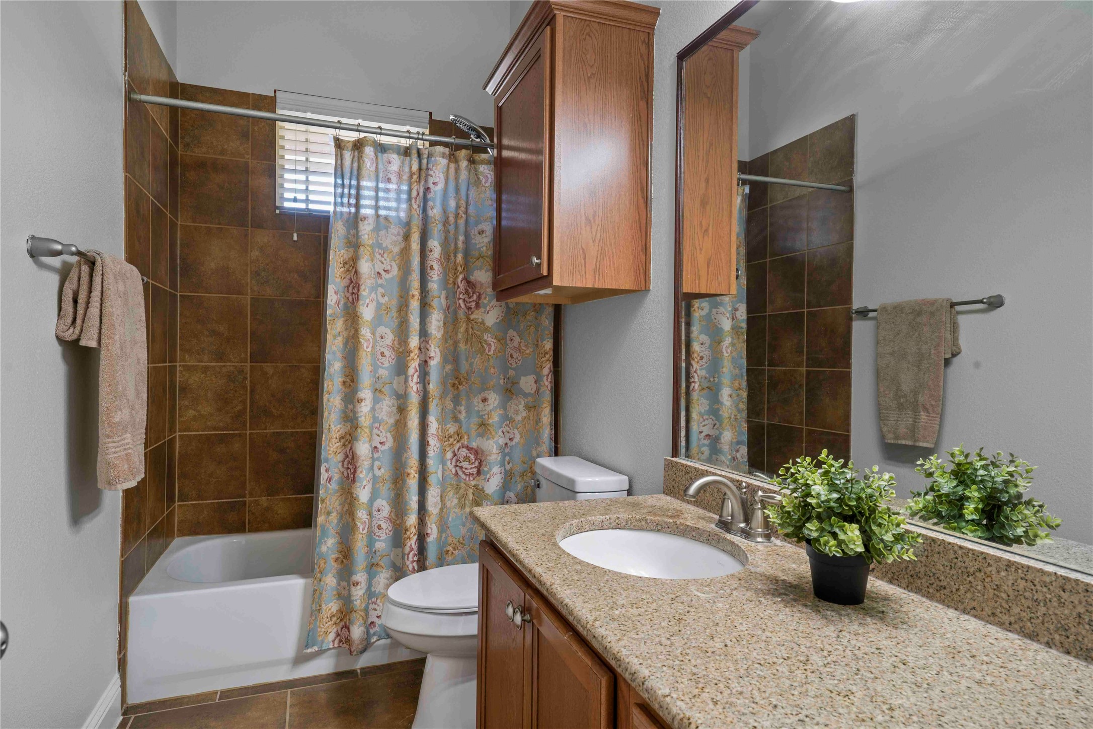13169 Courtney Drive Frisco TX 75033