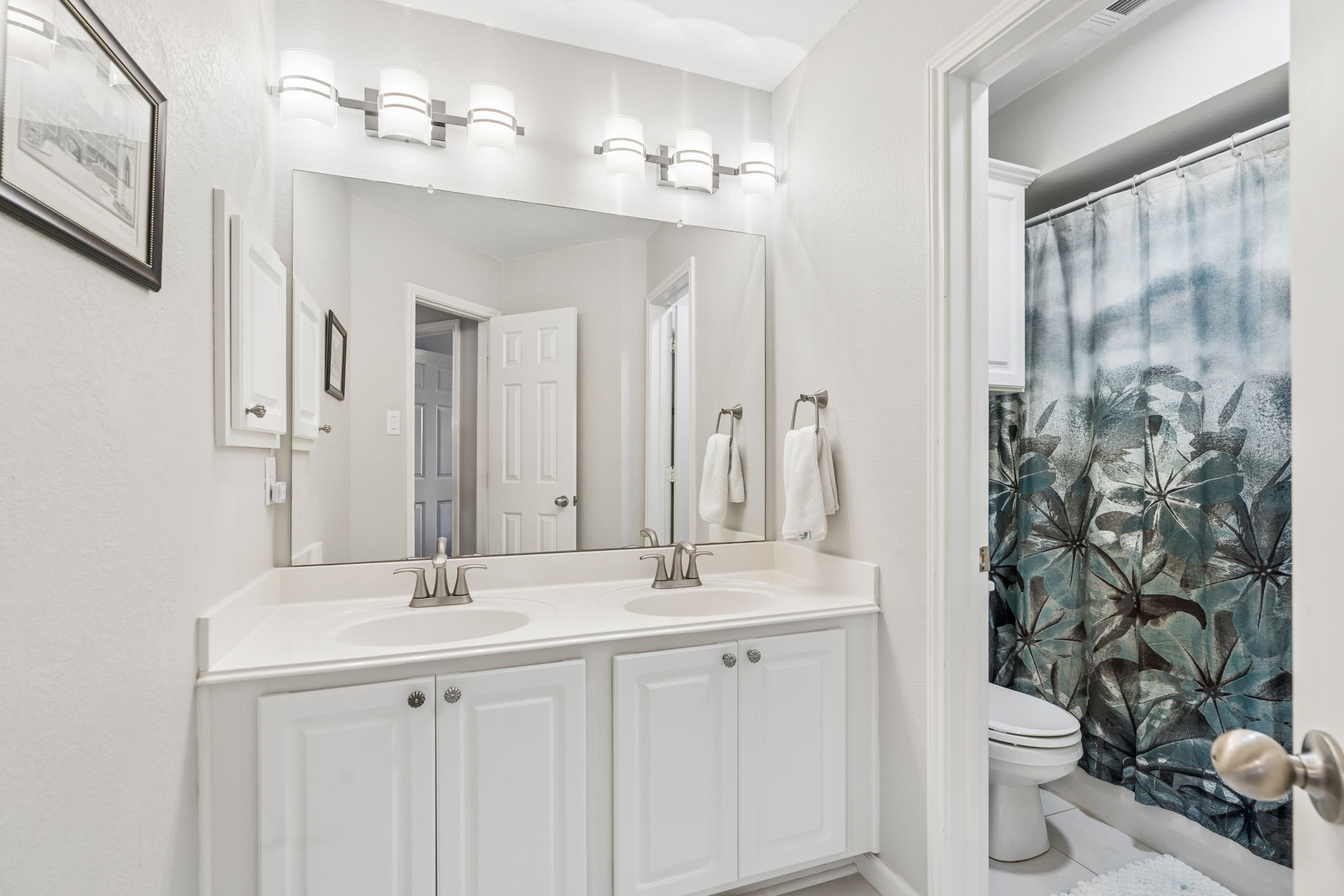 2441 Telluride Drive Flower Mound TX 75028