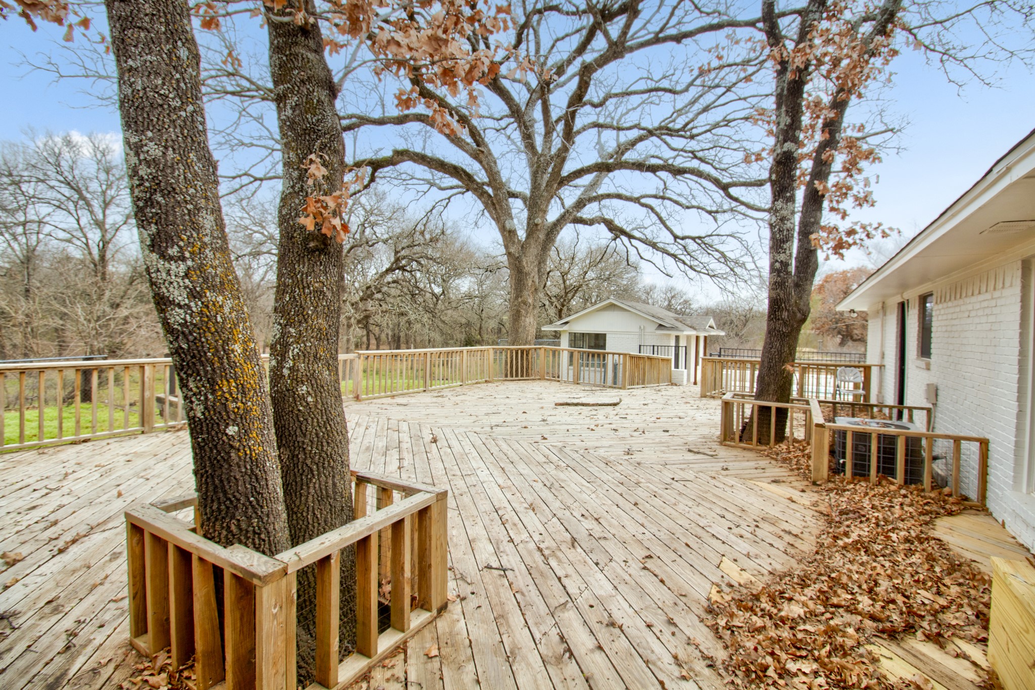 3700 Moseley Road Cross Roads TX 76227