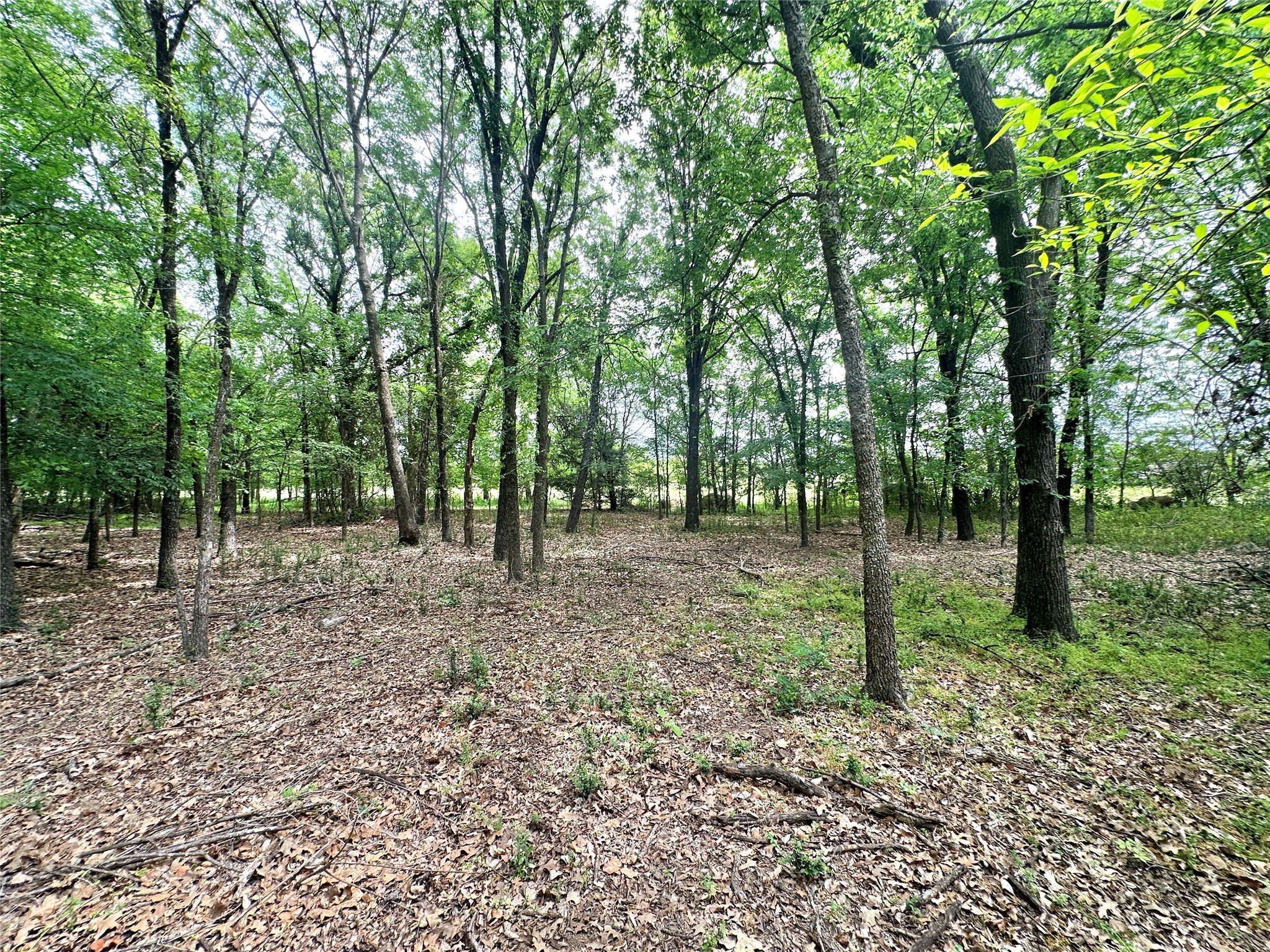 430 County Road 3311 Sulphur Springs TX 75482