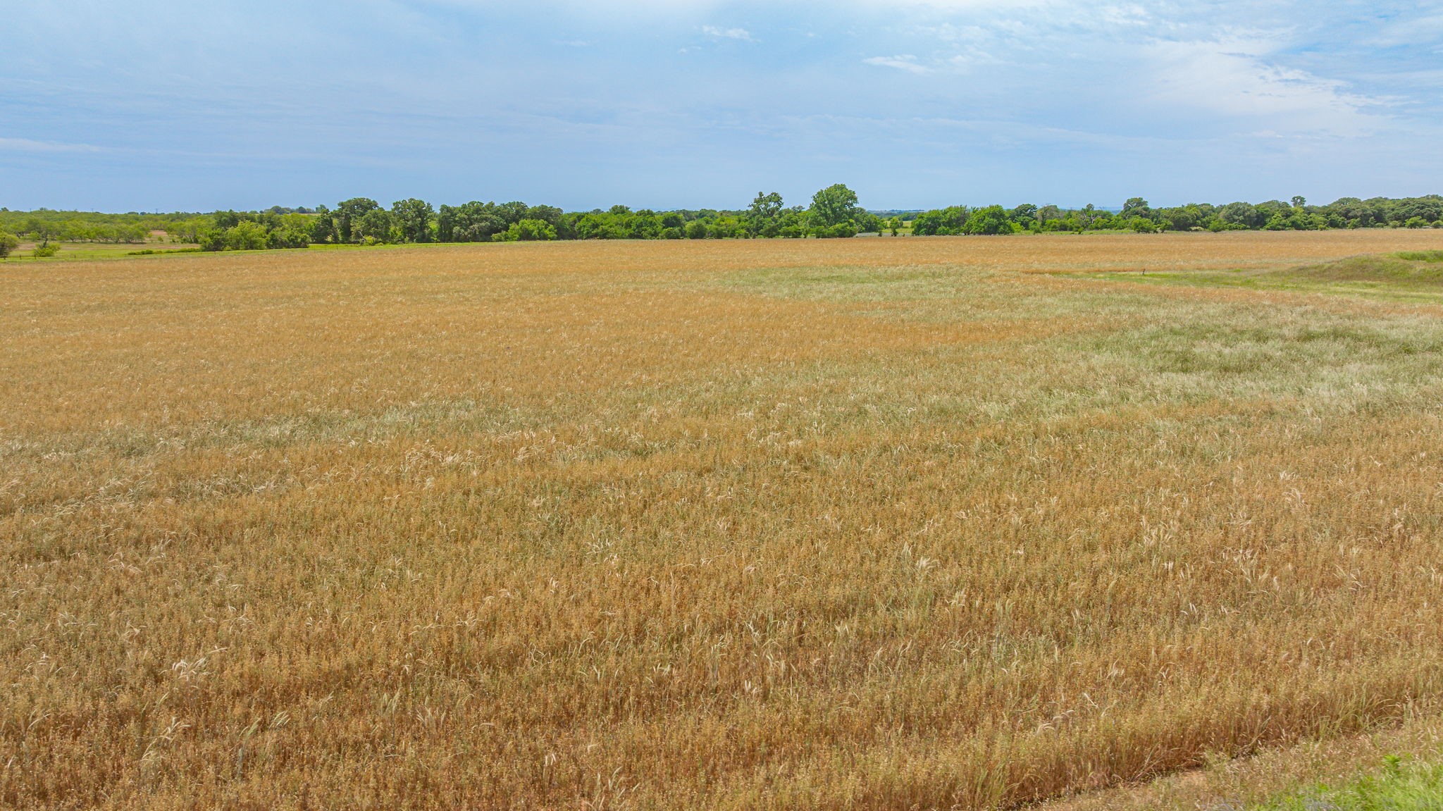 351 Highway 2318 De Leon TX 76444