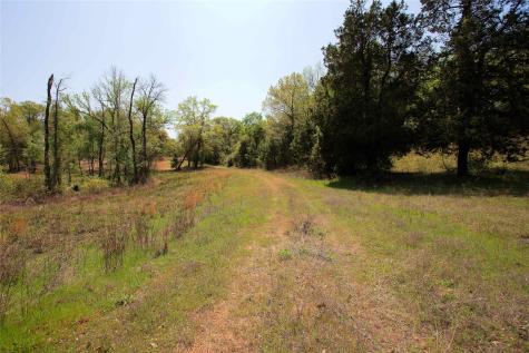 998 County Road 311 Tyler TX 75706