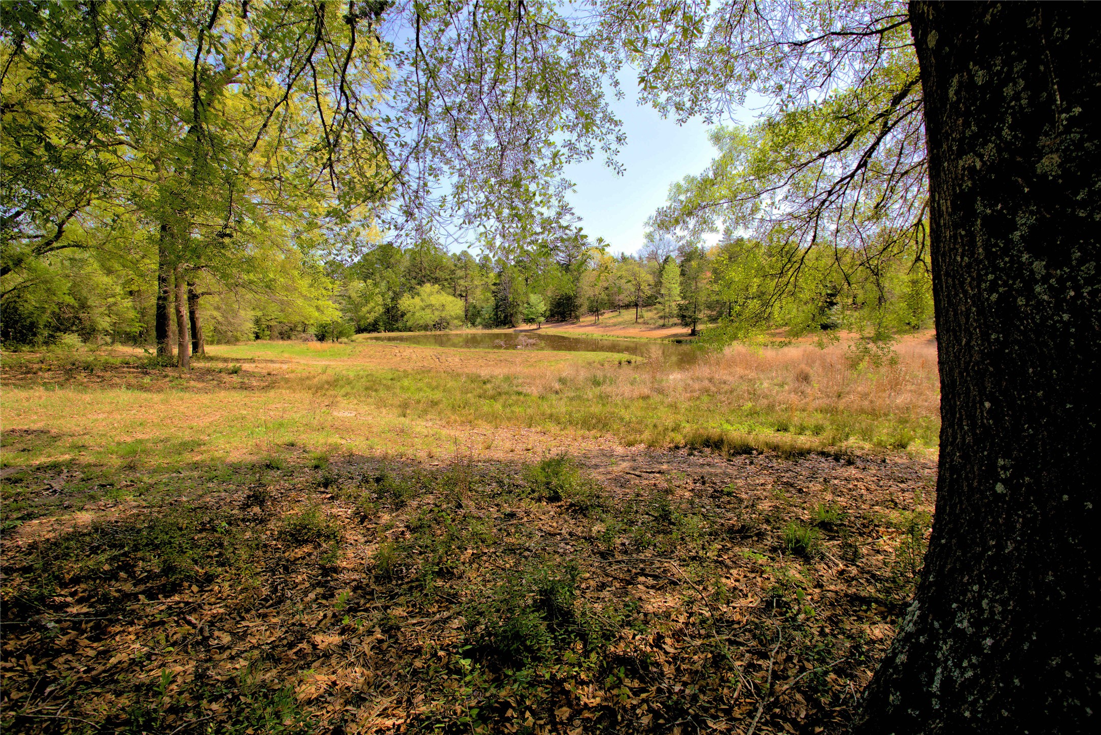 998 County Road 311 Tyler TX 75706