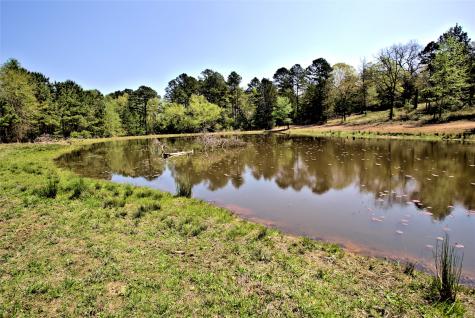 998 County Road 311 Tyler TX 75706