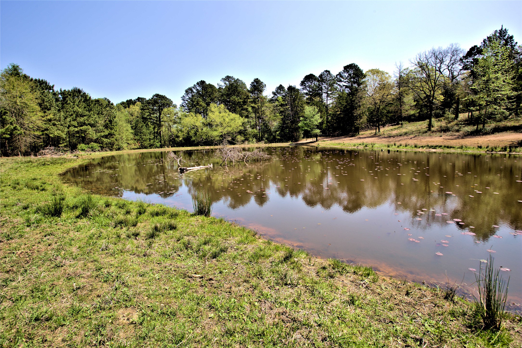 998 County Road 311 Tyler TX 75706