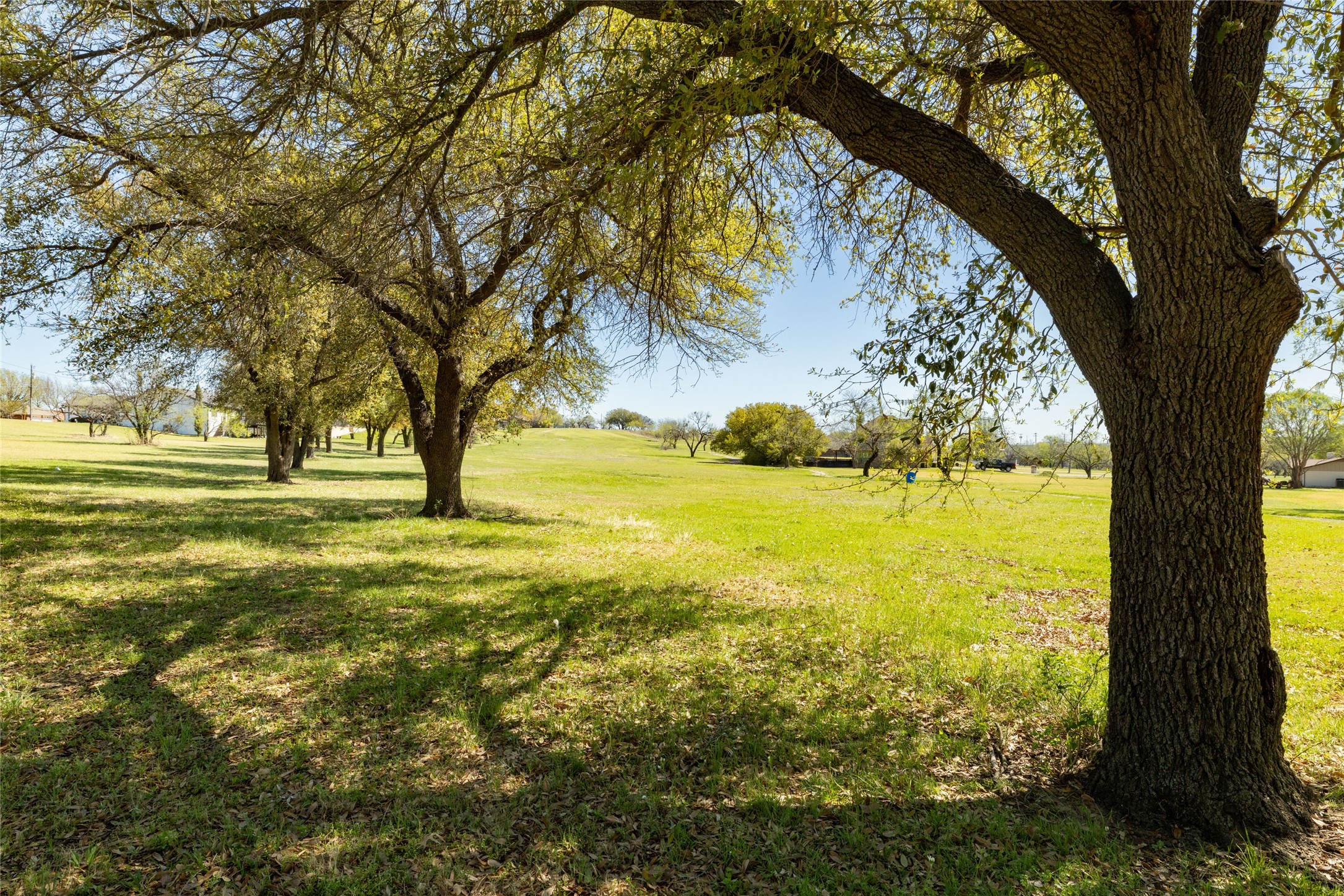 131 Lakeview Drive Runaway Bay TX 76426