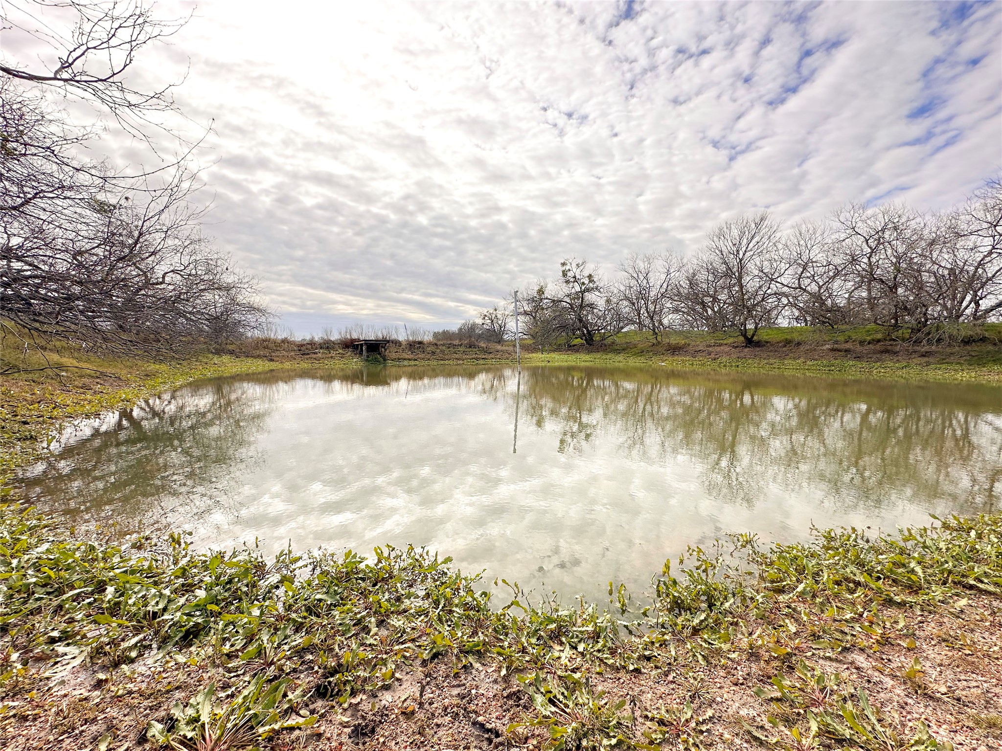 236 Hill County Road 2215 Aquilla TX 76622