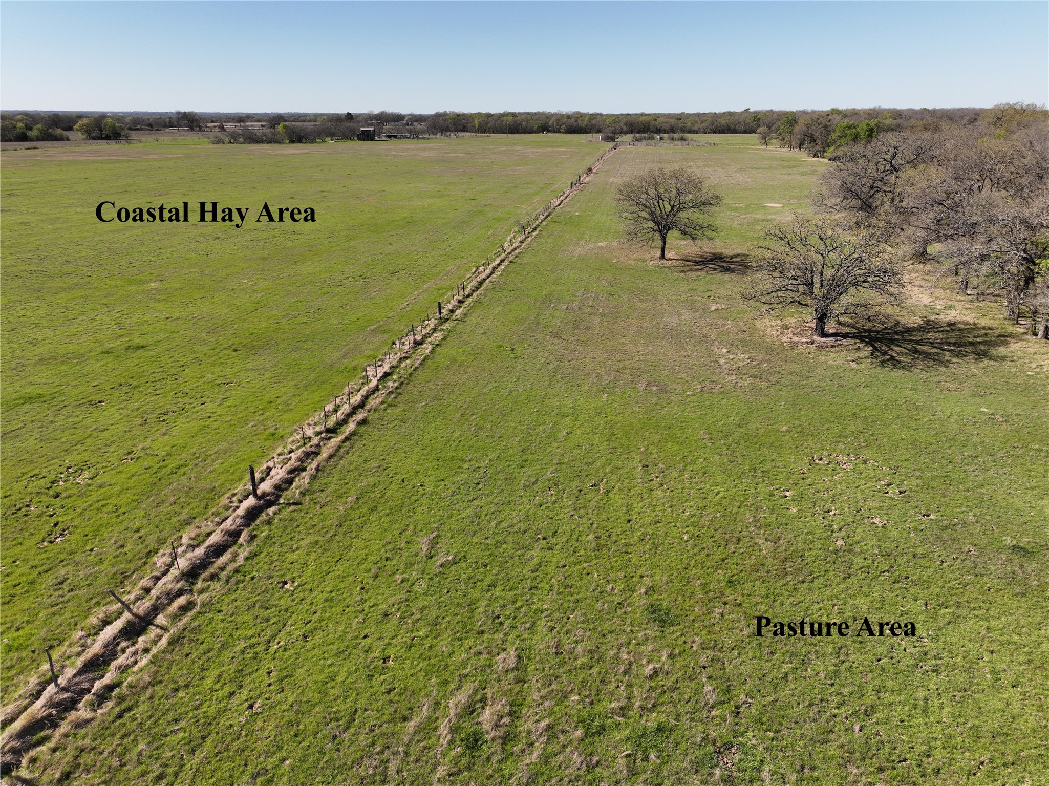 236 Hill County Road 2215 Aquilla TX 76622