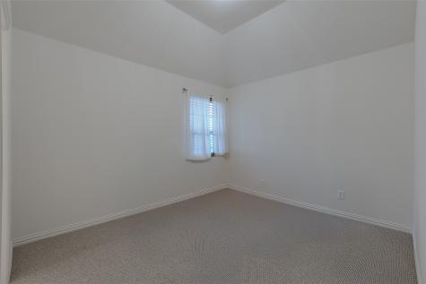 8313 Bayberry Avenue Lantana TX 76226