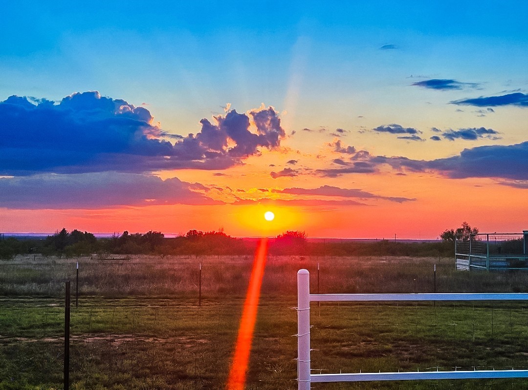 1098 State Highway 36 Abilene TX 79602