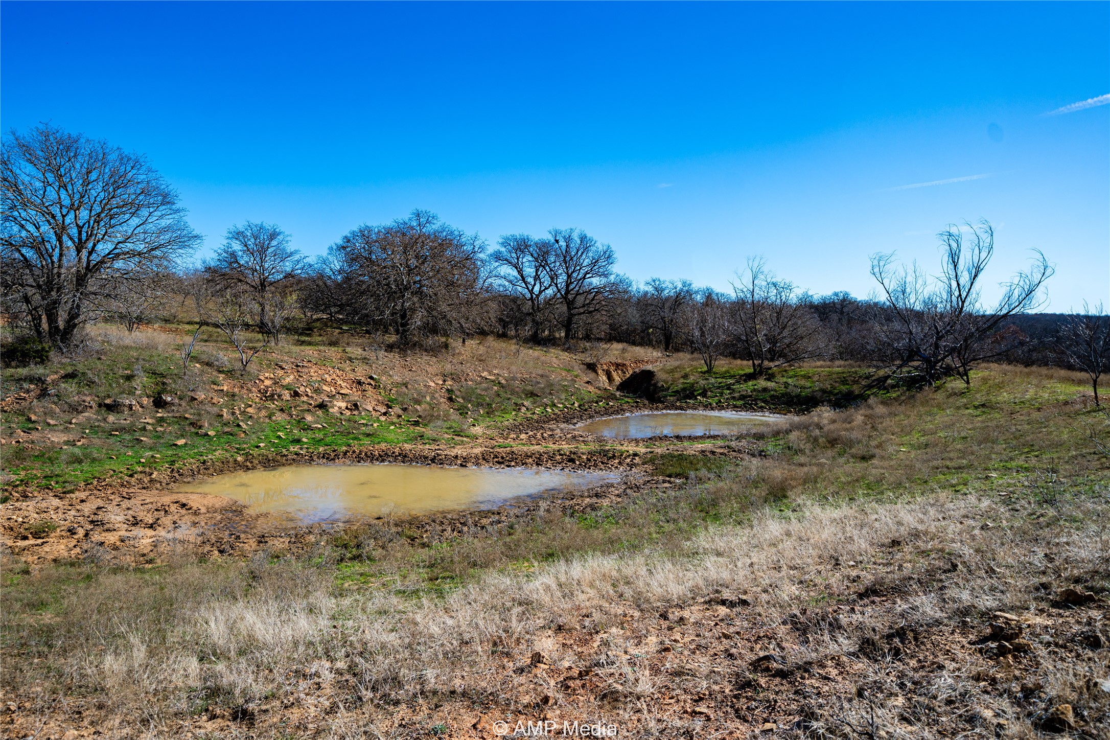 1992 Sand Flat Road Jacksboro TX 76458