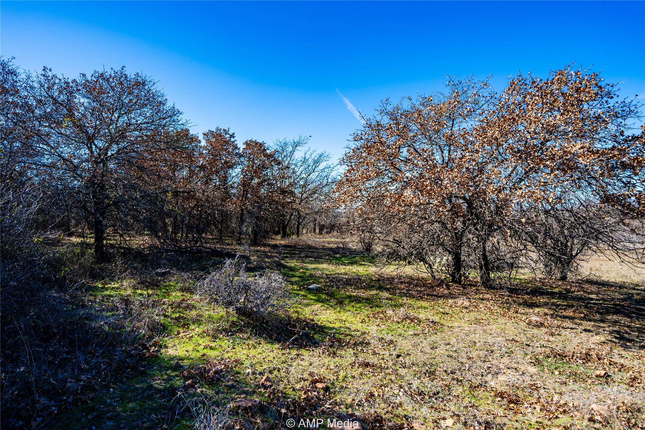 1992 Sand Flat Road Jacksboro TX 76458
