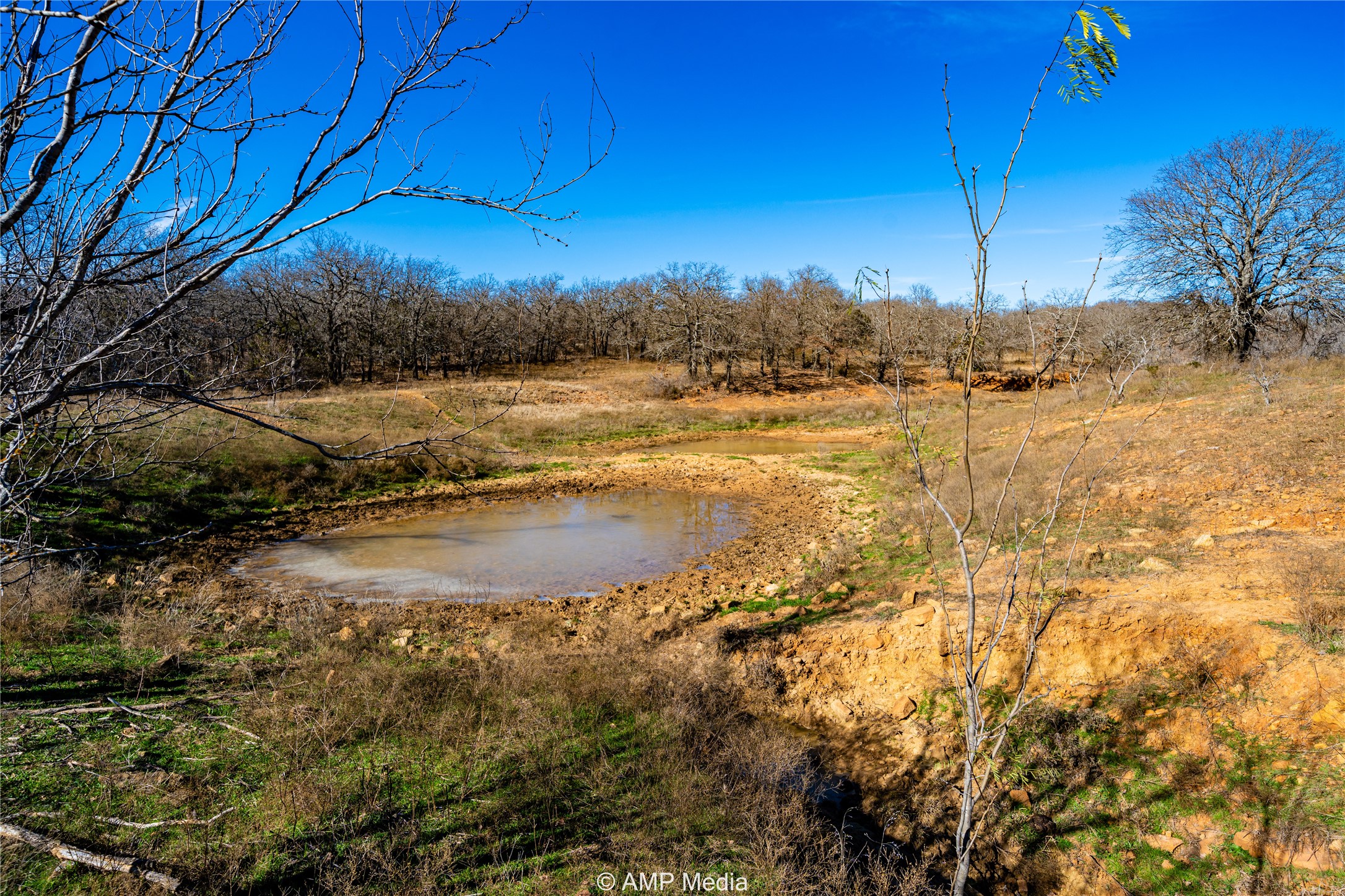 1992 Sand Flat Road Jacksboro TX 76458