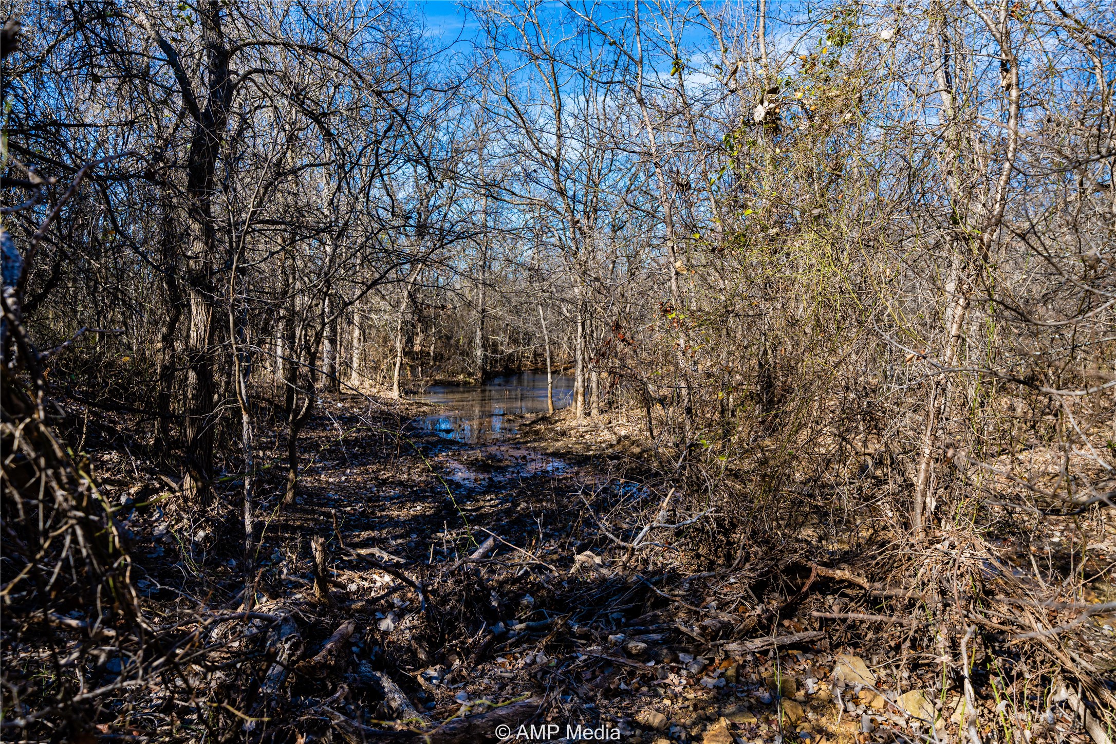 1992 Sand Flat Road Jacksboro TX 76458