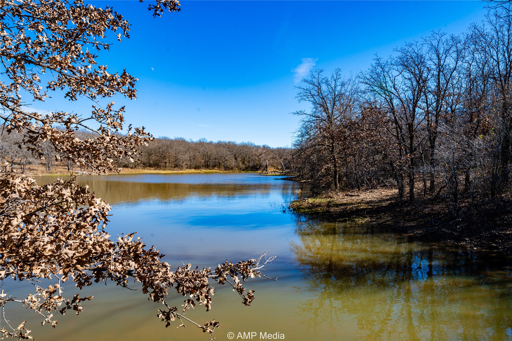 1992 Sand Flat Road Jacksboro TX 76458