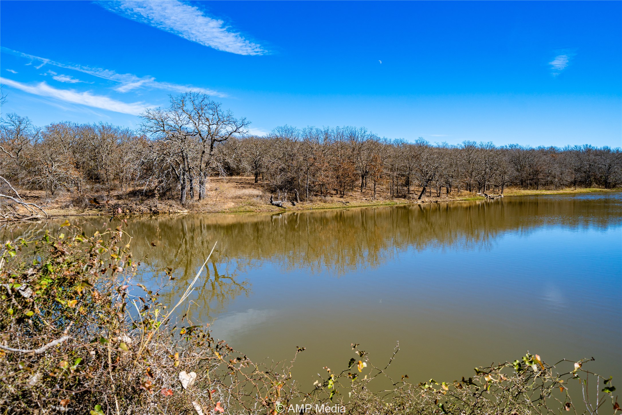 1992 Sand Flat Road Jacksboro TX 76458