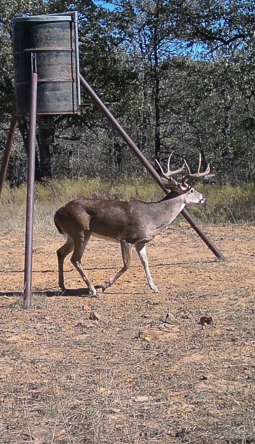 1992 Sand Flat Road Jacksboro TX 76458