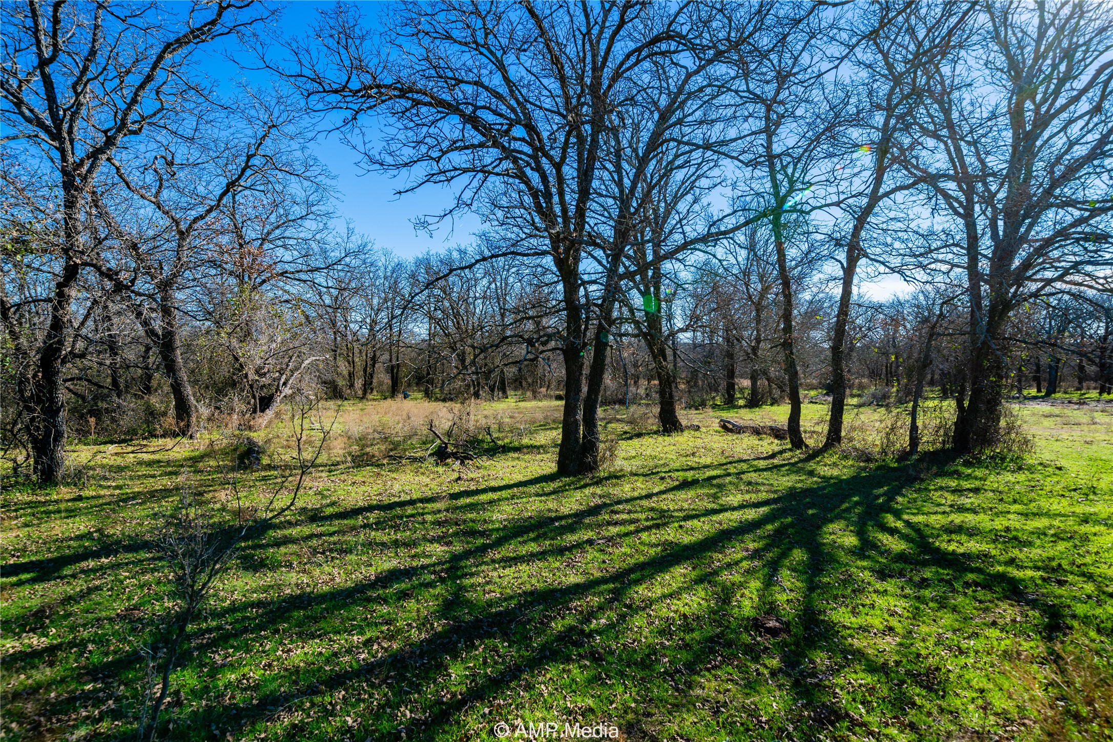 1992 Sand Flat Road Jacksboro TX 76458