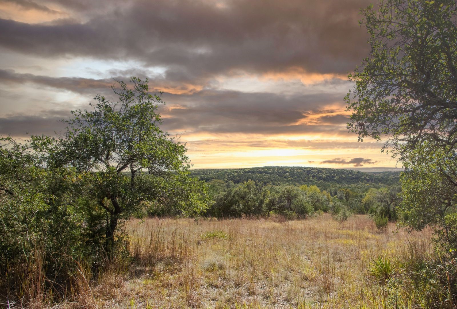 12516 Wire Road Leander TX 78641