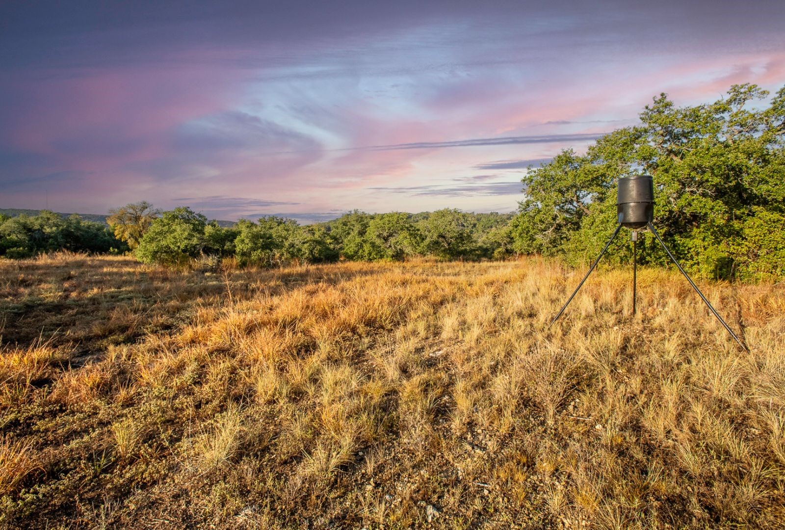 12516 Wire Road Leander TX 78641