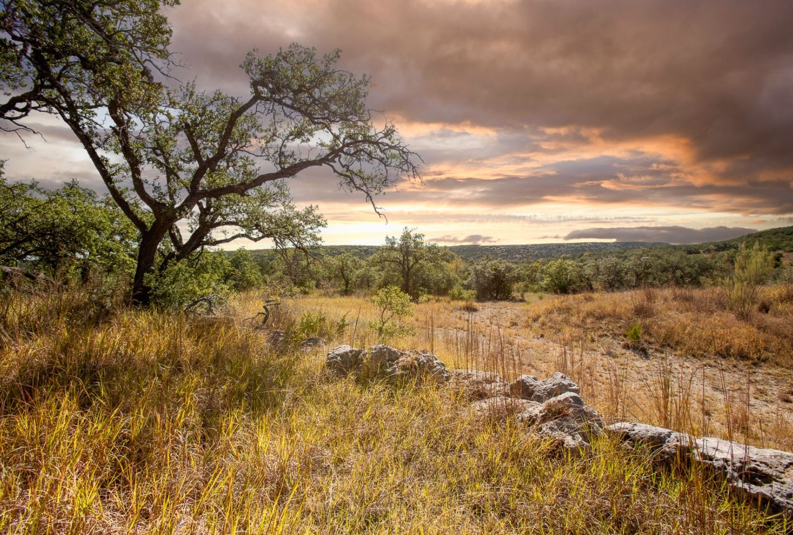 12516 Wire Road Leander TX 78641