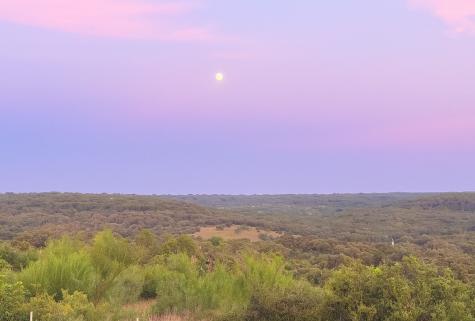 12516 Wire Road Leander TX 78641