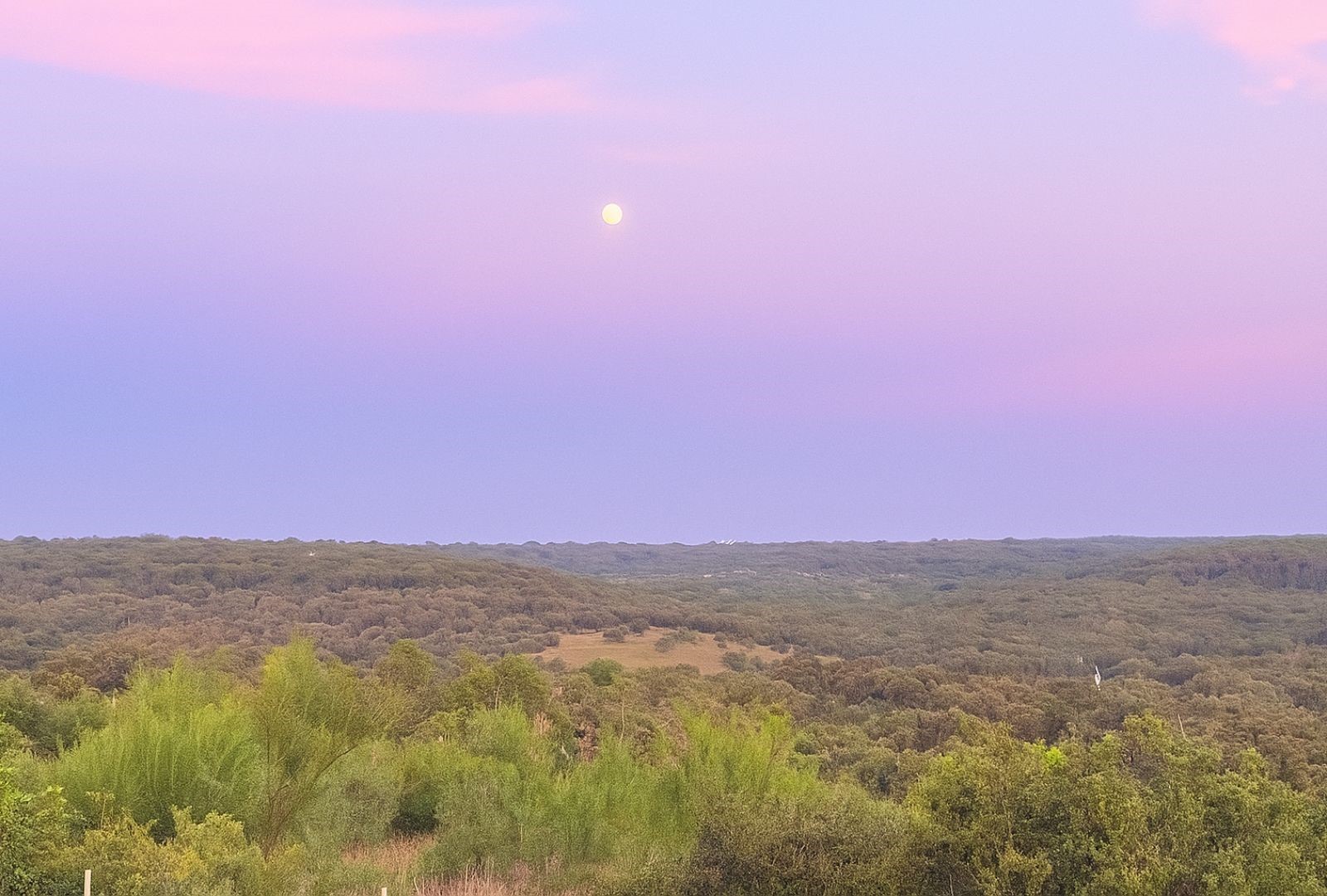 12516 Wire Road Leander TX 78641