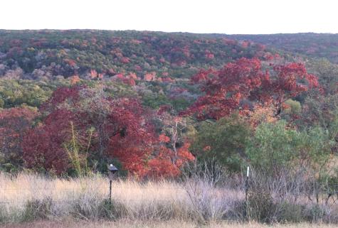 12516 Wire Road Leander TX 78641