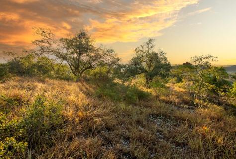 12516 Wire Road Leander TX 78641