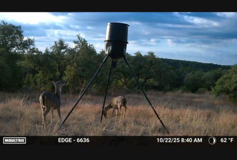 12516 Wire Road Leander TX 78641