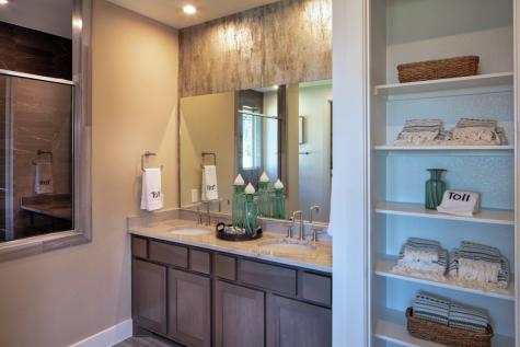812 Mountain Aloe Drive Fort Worth TX 76247