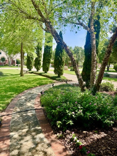 721 Paradise Cove Shady Shores TX 76208