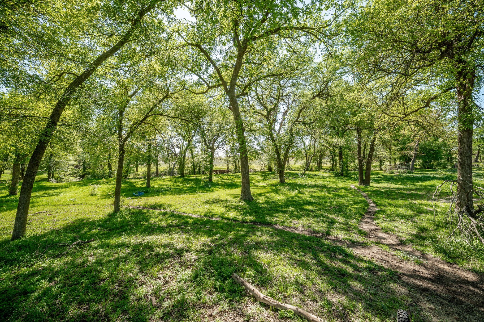 10202 S Us Highway 377 Dublin TX 76446