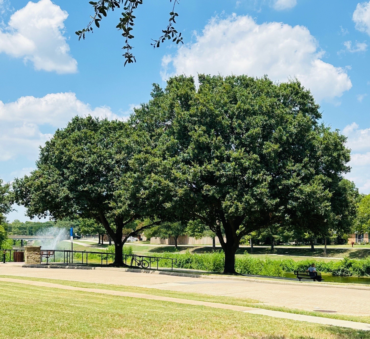 222 Gold Finch Drive Richardson TX 75081