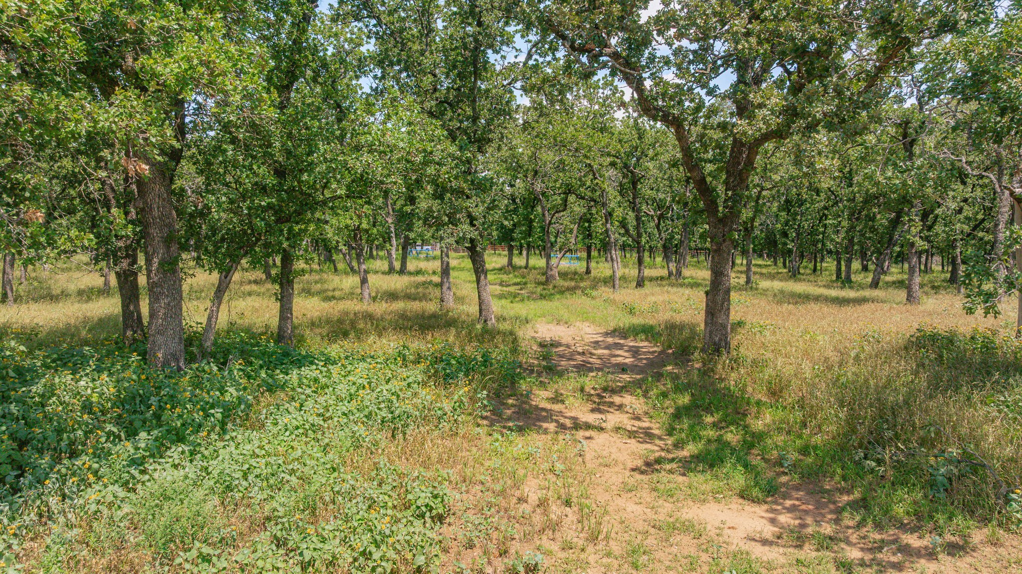 1375 County Road 253 Stephenville TX 76401