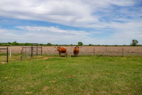 5520 Big Valley Circle Lipan TX 76462