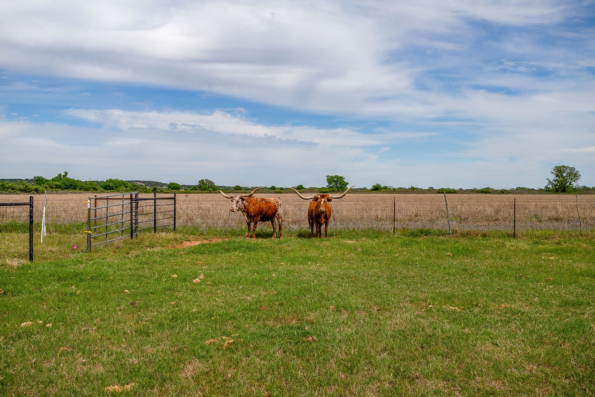 5520 Big Valley Circle Lipan TX 76462