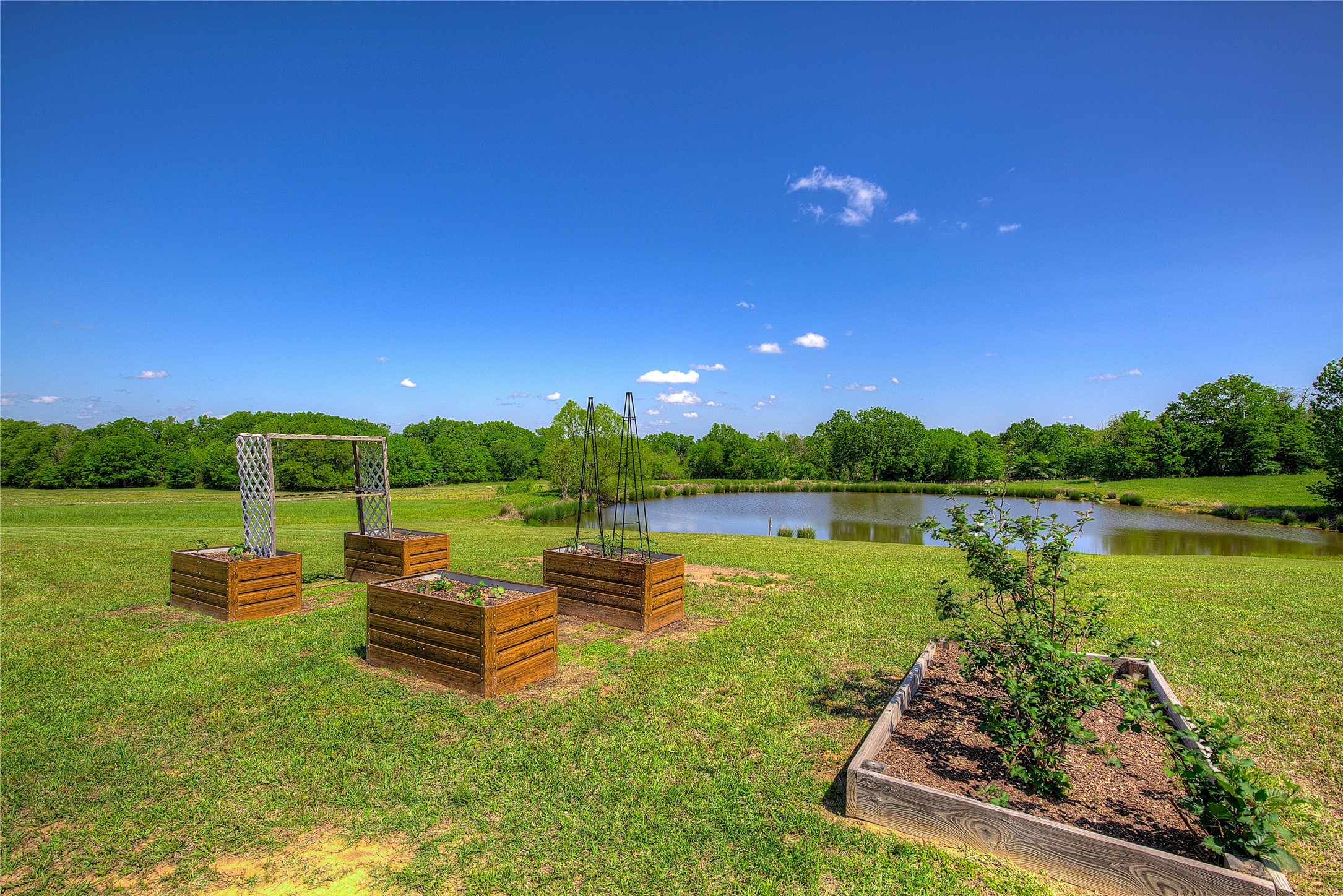 690 County Road 3020 Mount Vernon TX 75457