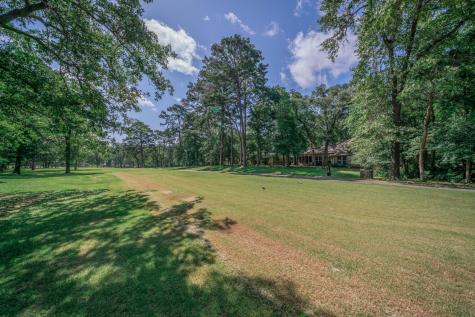 234 Spring Lake Knoll Trail Holly Lake Ranch TX 75765