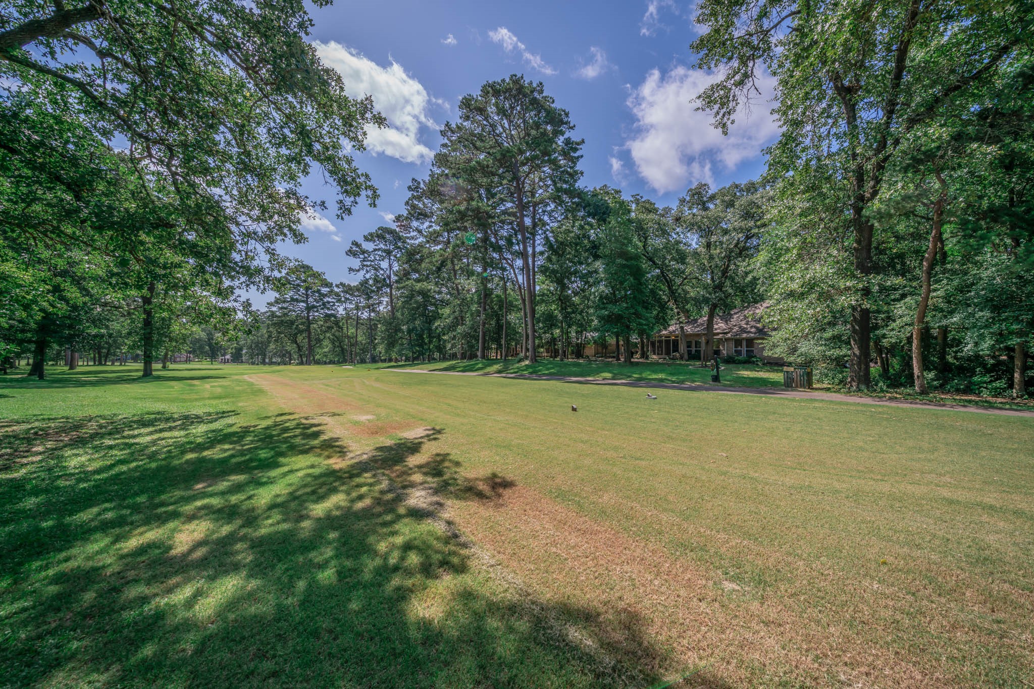 234 Spring Lake Knoll Trail Holly Lake Ranch TX 75765