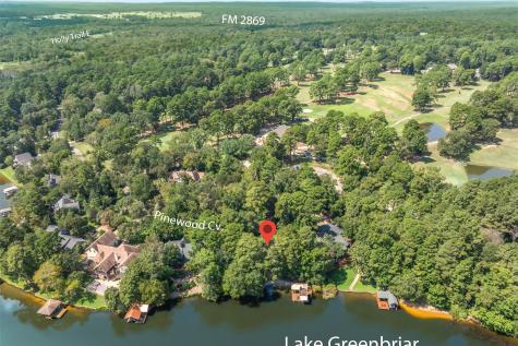 148 Pinewood Cove Holly Lake Ranch TX 75765