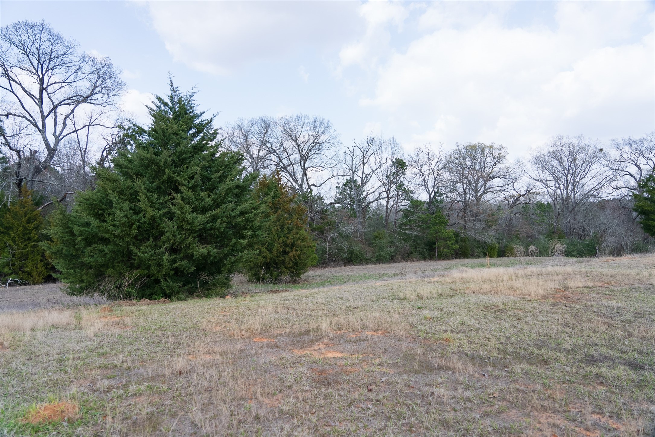 9190 County Road 2136 N Henderson TX 75652