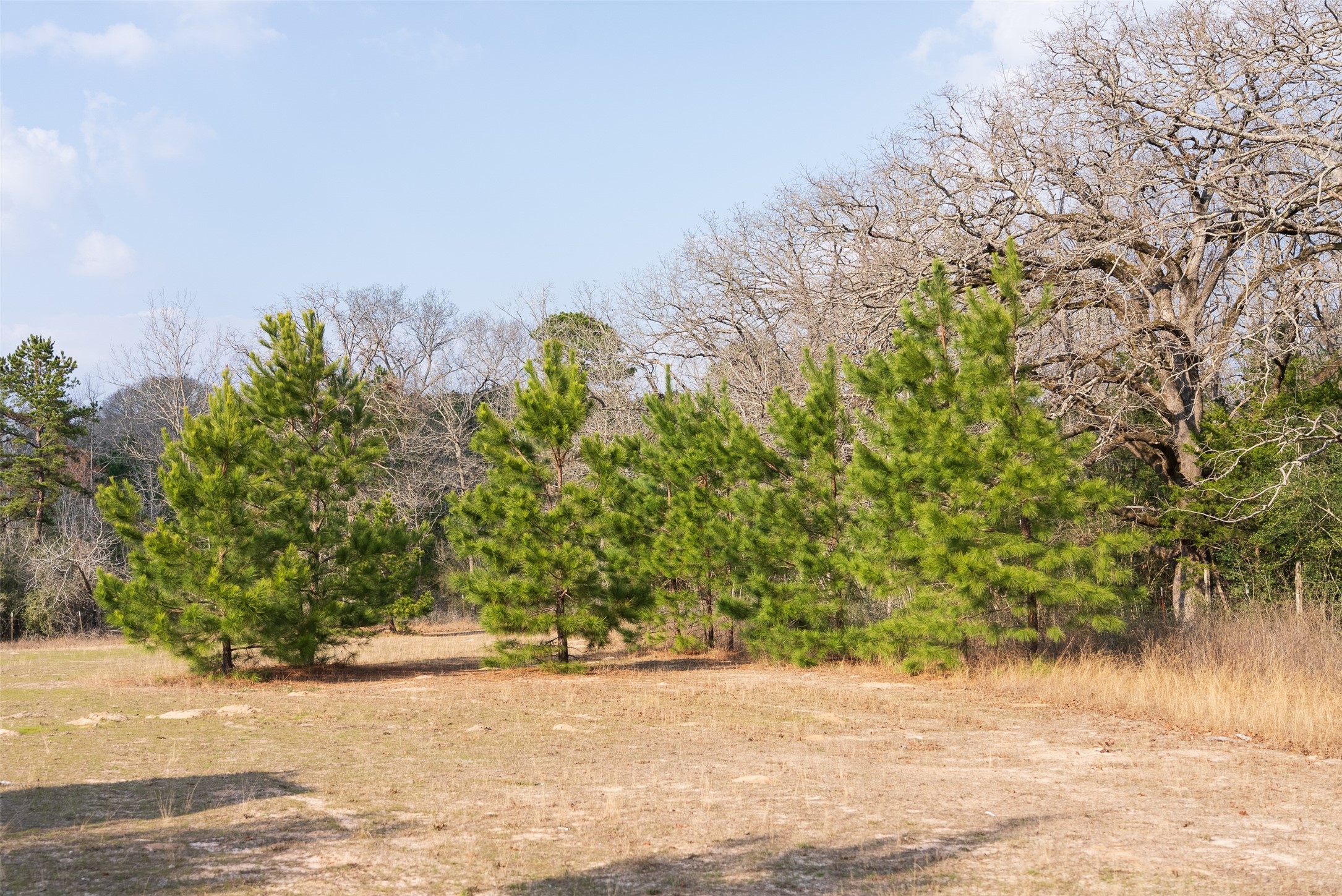 9190 County Road 2136 N Henderson TX 75652
