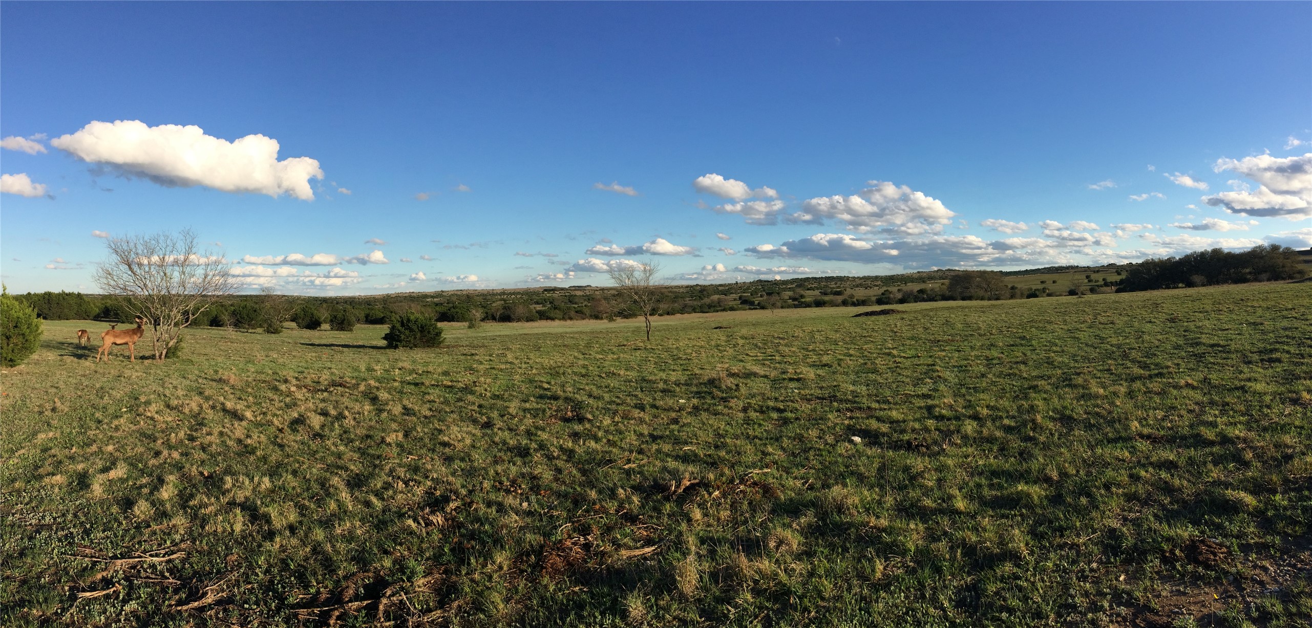 6101 County Road 208 Lampasas TX 76550
