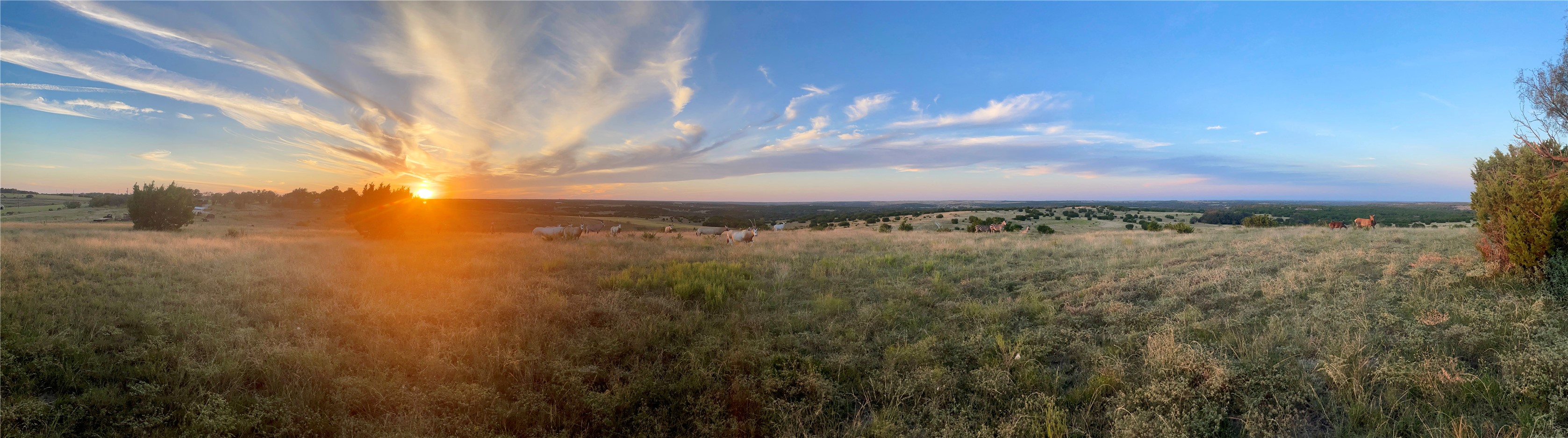 6101 County Road 208 Lampasas TX 76550