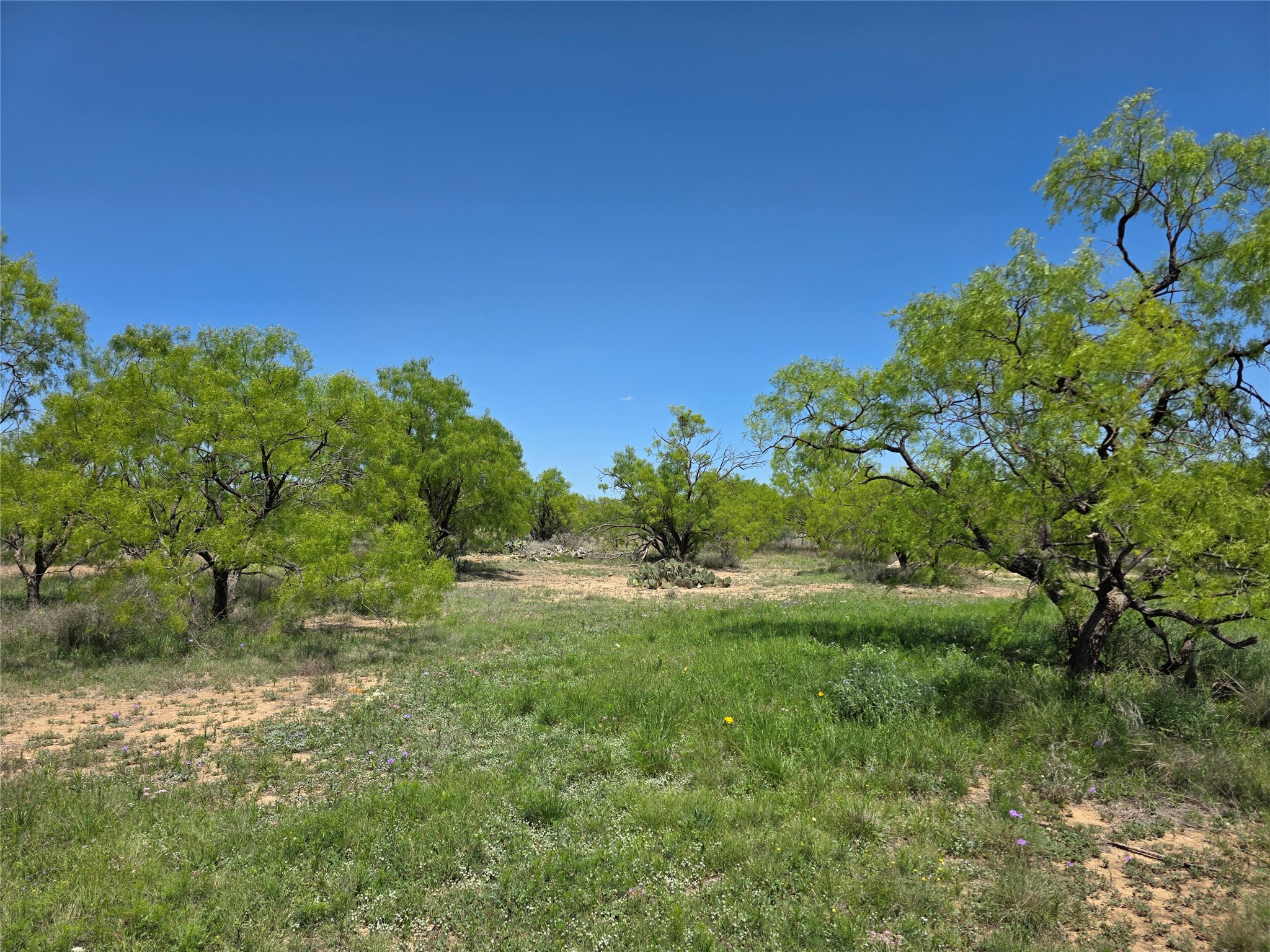 1709 County Road 330 Voss TX 76888