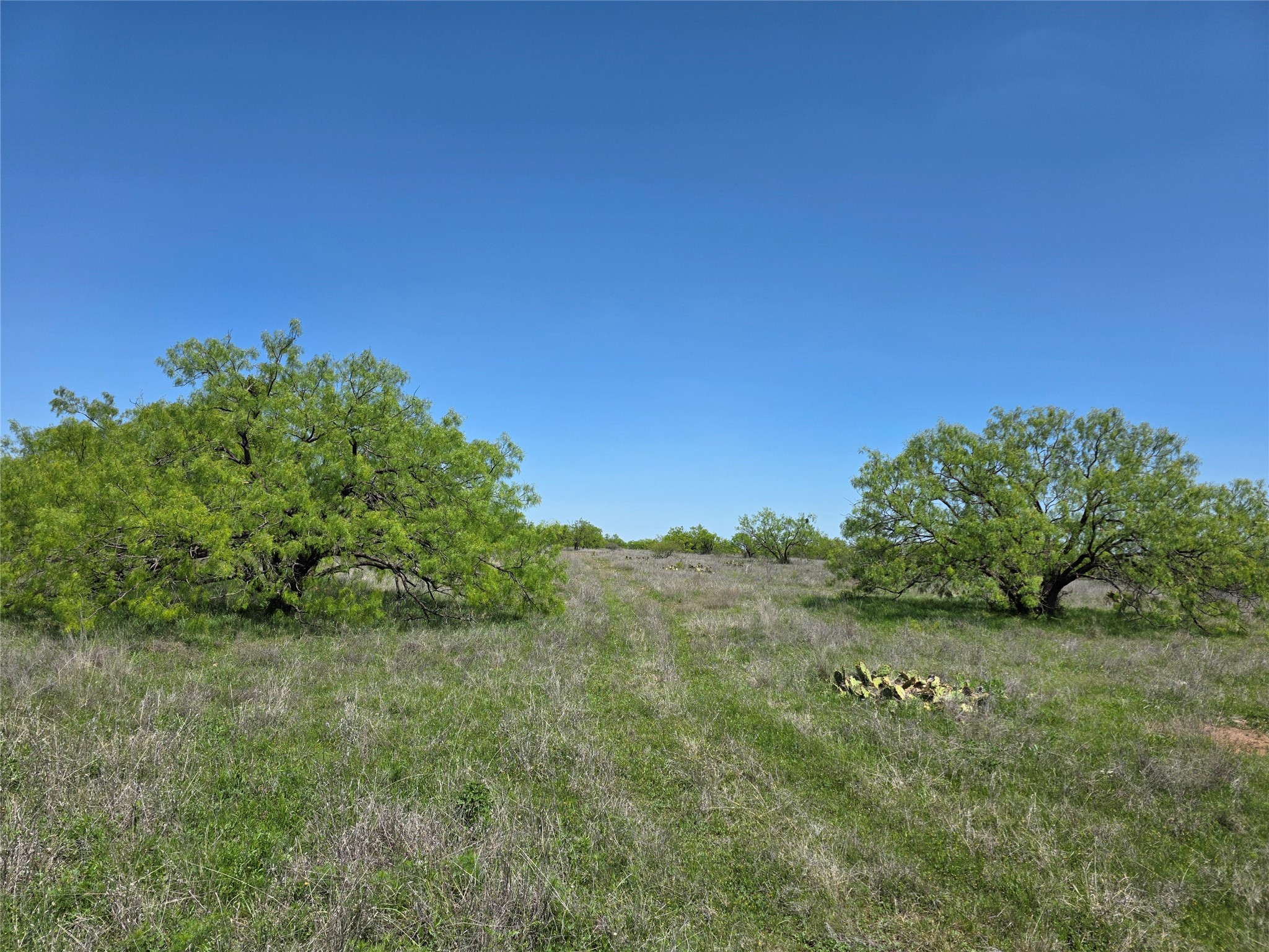 1709 County Road 330 Voss TX 76888
