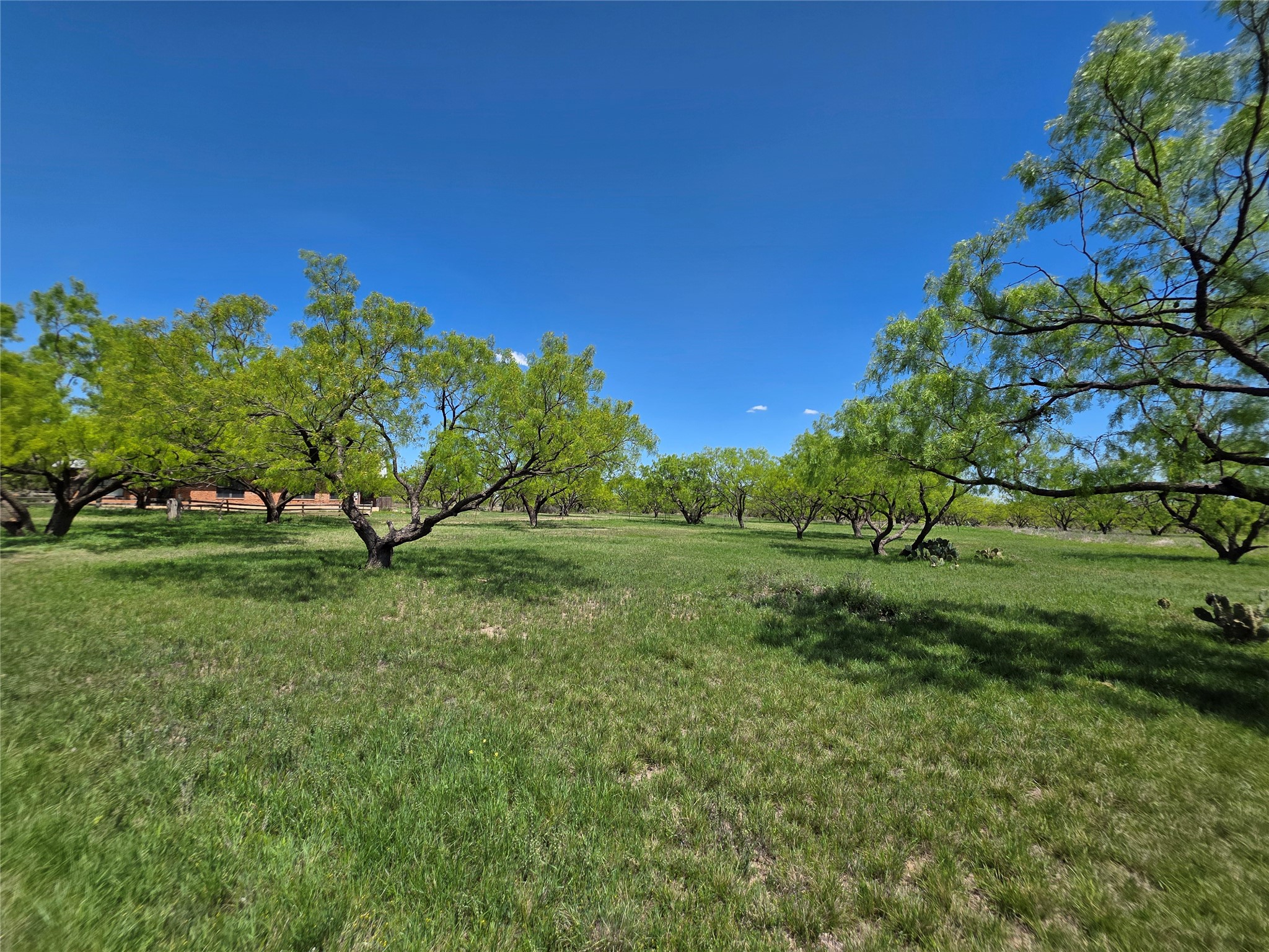 1709 County Road 330 Voss TX 76888