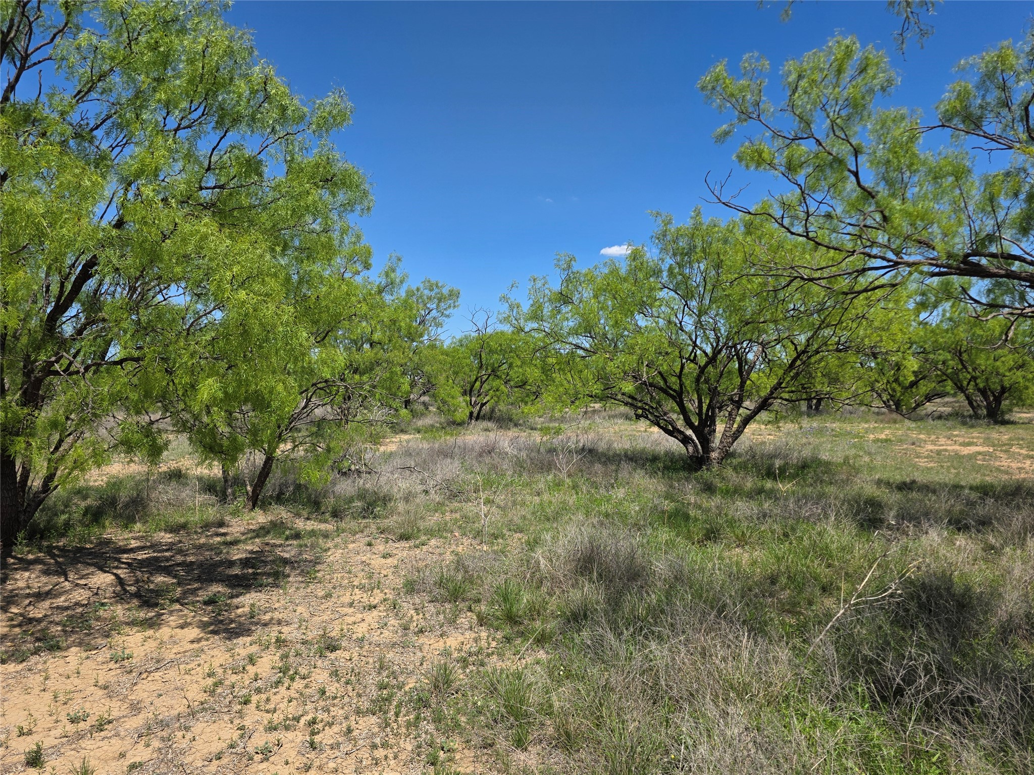 1709 County Road 330 Voss TX 76888