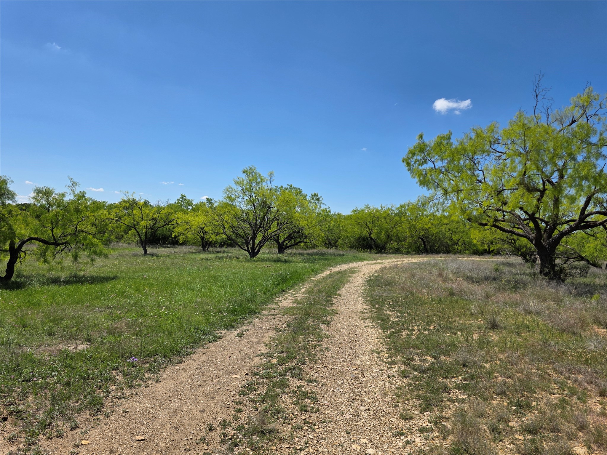 1709 County Road 330 Voss TX 76888